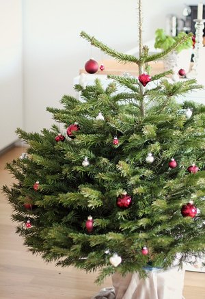 Greentree geschmückter Christbaum