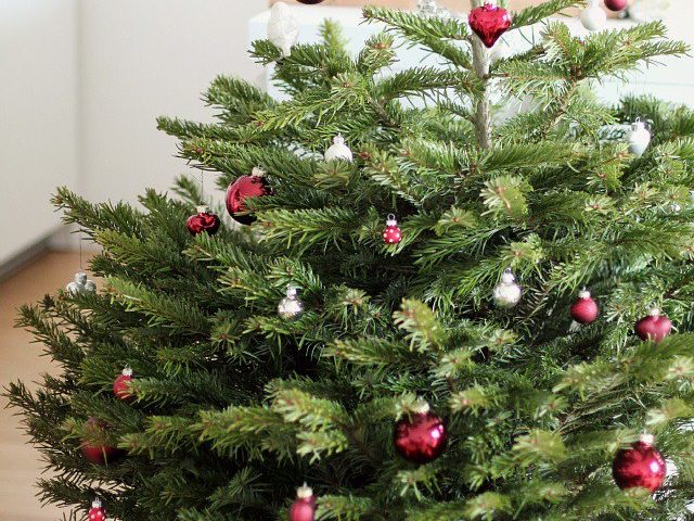 Greentree Christbaum geschmückt